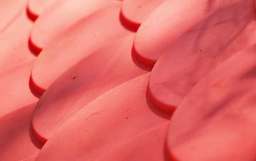 Neaton plastic roof costs