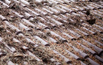 Neaton roof cleaning companies